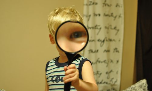 magnifying-glass-552852_1920
